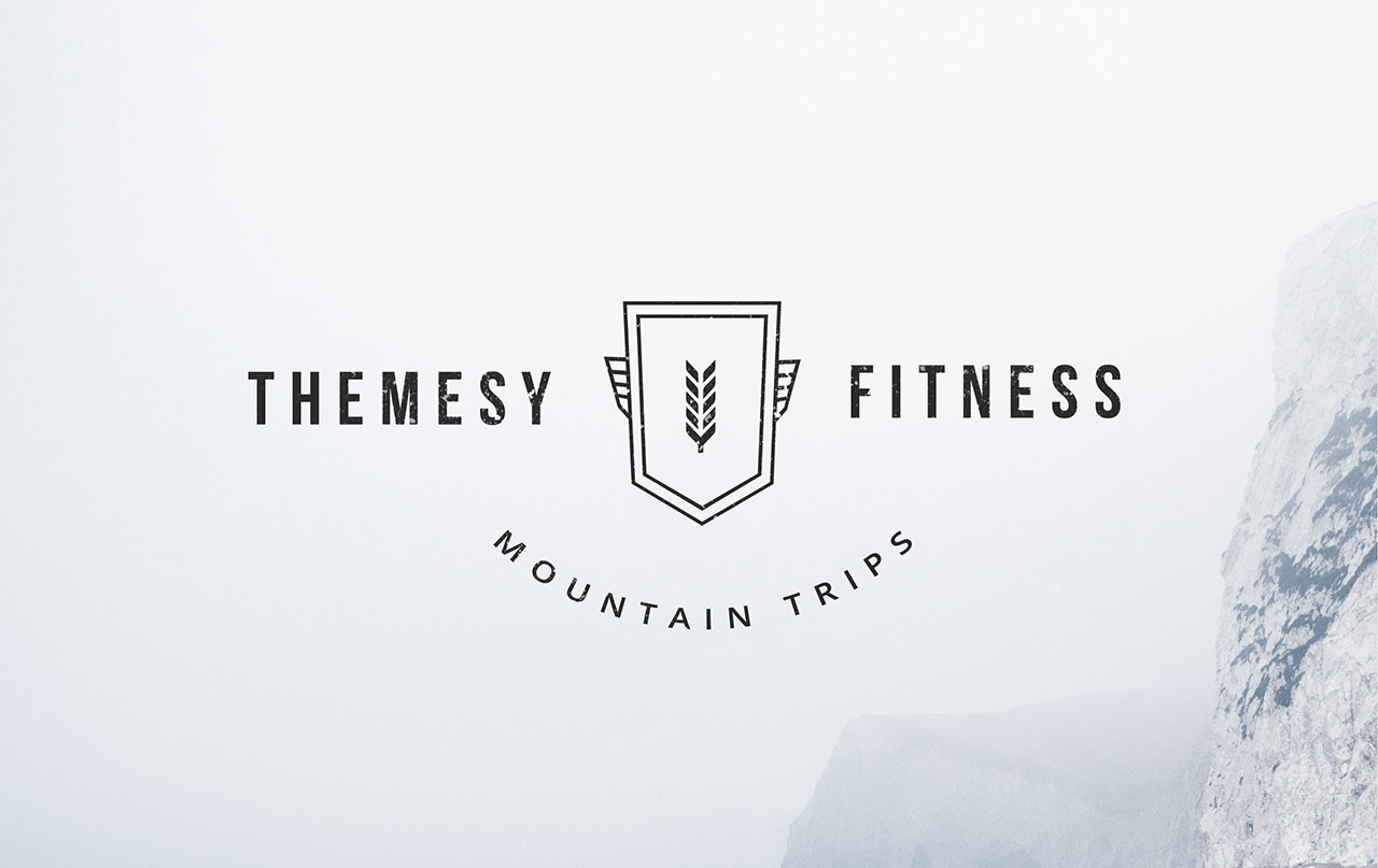 THEMESY FITNESS